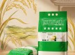 Gạo ST25 NUTRIVIET – Gạo sạch cao cấp, dẻo thơm tự nhiên