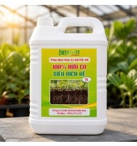 Phân bón Hữu cơ Nutri VN Siêu Kích Rễ - Can 5 Lít