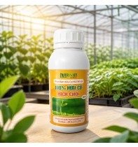 Phân bón Hữu cơ Nutri VN Kích Chồi - Chai 500 ml