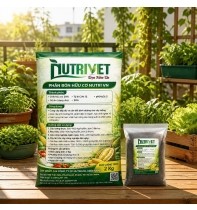 Phân Bón Hữu Cơ Nutri Vn - Túi 2 Kg 